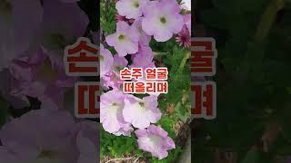 양로원으로 보내진 할머니 앞에 검은 고급차가 섰는데... #인생사연 #시어머니 #며느리 #고부갈등 #노후지혜