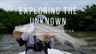 Fishing the Florida Everglades Coastline for Snook