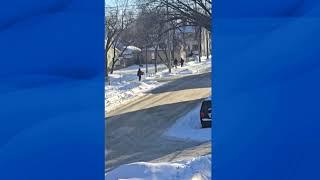 Daylight shootout shakes Winnipeg street | APTN News