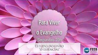 Para viver o Evangelho 142 - Estudo da obra "O essencial" cap. 27