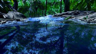 Rushing River Sounds to Sleep | 10 Hour Water Sounds for Sleeping