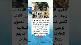 الكاجو الذي يأتينا بطعمه اللذيذ له وجه آخر. ففي الهند يعمل الآلاف لكسر قشرتها الصلبة التي تحتوي
