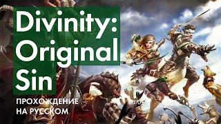 Сокровищница Борея и Освобождение Колодца  Прохождение Divinity: Original Sin Enhanced Edition