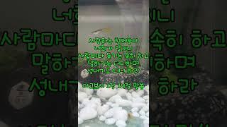 2025년 3월 15일