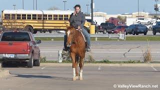 Katies Stetson - riding in town - Valley View Ranch