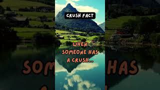 "BlinkBits | Flash Facts, Fun Finds"