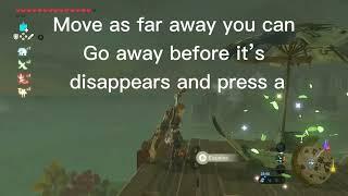 Infinite Korok glitch