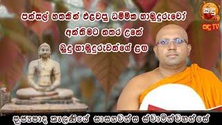 පන්සල් හතකින්ම එලවපු අපේ ධම්මික හාමුදුරුවෝ kalaniye sasanawansha thero| Sandu TV | #Bana