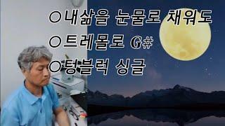 내삶을 눈물로 채워도 - 나훈아 #양성호하모니카