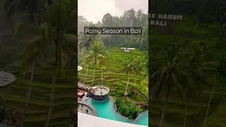 Should you travel to Bali in rainy season? #shorts