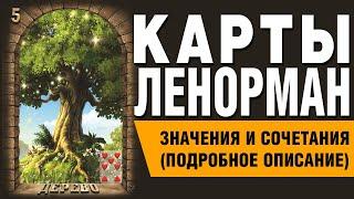 Карты Ленорман. Карта Дерево (05). Значения и сочетания карт.