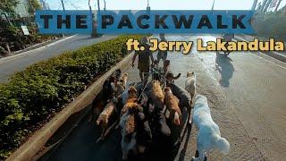 PART 1- THE ART OF PACK WALK BY JERRY LAKANDULA