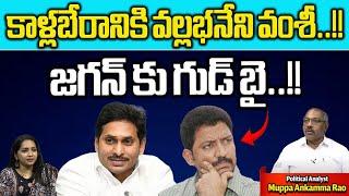 YCP Vallabhaneni Vamsi Good Bye To YS Jagan | Big Shock To YCP | AP Elections | Wild Wolf Digital