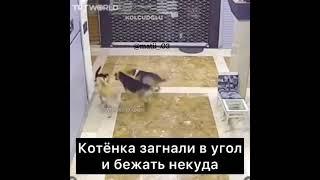 Спасение близко, не бойся малыш.