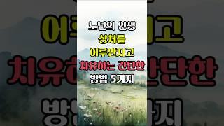 노년의 인생에 상처를 어루만지고 치유하는 간단한 방법 5가지 #명언 #긍정적마인드 #삶의지혜