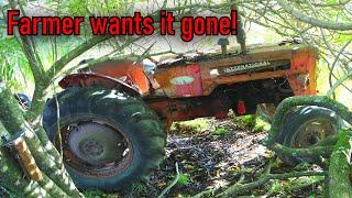 Vintage tractor left to rot by a swamp for 20 years.. Will it start ??