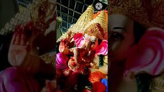  Ganapati Bappa Morya  #ganesh #ganpati #ganeshchaturthi #youtubeshorts #shorts