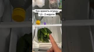 Как хранить огурцы 2 недели