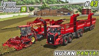 Harvesting Potatoes & Investing in New Production Facilities! | FS 25 | Hutan Pantai Farm | ep #43