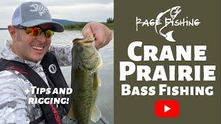 CRANE PRAIRIE BASS FISHING - 4K - Tips, rigging and pattern explained! Cenrtal Oregon Bass Fishing.