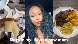 Dyeing my locs + Days in my life with a newborn! | VLOG