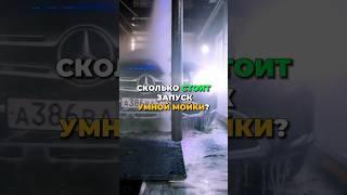 Сколько стоит открыть «Умную мойку»? (читай в комментариях)