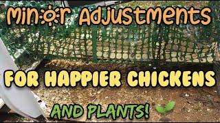 Minor Adjustments For Chickens and Garden Plants - Ann's Tiny Life