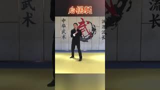 后摆腿Back swing leg