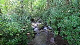 HD Video of Jakes Creeks At The Trailhead In Elkmont