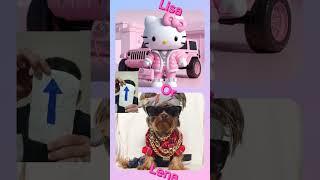 #chooseyourgift Lisa Or Lena #tiktok #cute #viralvideo #viralshorts #lisaorlena'scat#ندبة ليزاورلينا