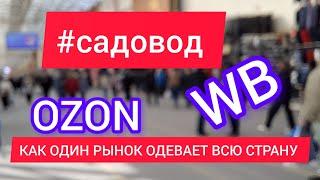 ШОКРЫНОК САДОВОД/ КАК ОДИН РЫНОК ОДЕВАЕТ ВСЮ РОССИЮ / КАКИЕ ЦЕНЫ НА РЫНКЕ САДОВОД/