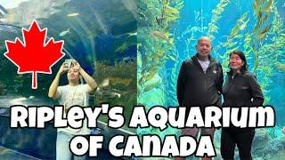 FIRST TIME NAMIN MAKAKITA NG SHARKS | BUHAY SA CANADA