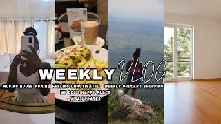 VLOG: visa updates, House hunting, weekly grocery shopping, taking my dog on a date, feeling down...