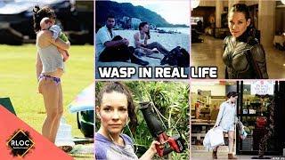 Wasp : Evangeline Lilly in Real Life