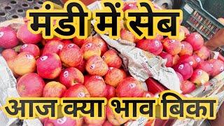 सेब का क्या रेट रहा साहिबाबाद मंडी में वीडियो में देखो |apple rate today#fruit #azadpurmandi #mandi