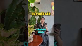 MUA ĐẤT VIẾT TAY TỪ 2005 – CÓ LÀM SỔ ĐƯỢC KHÔNG? | Tara Lê  BĐS