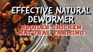 Dewormer in Natural Farming | Save Money By Making You Own Dewormer | No Synthetic Chemicals 