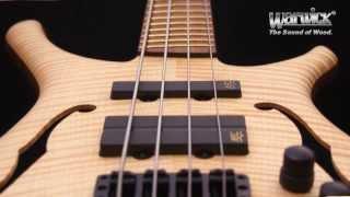 The Warwick Infinity NT - fretted and fretless