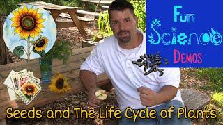 Seeds and the Life Cycle of Plants