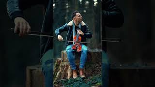 Bella Ciao on the Violin in the Forest It's getting colder.#violin #violinmusic #bellaciao