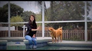 ELEGANT POOL HOME Riverview Tampa FL | RealEstateHawker.com Youtube Video