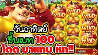 Fortune OX สล็อตวัวทอง สูตรสล็อต สล็อตPG : วันอาทิตย์ ขึ้นเบท100 โดดขาแทบหัก!!