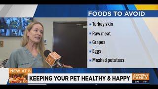 Food Your Pet Should NOT Eat