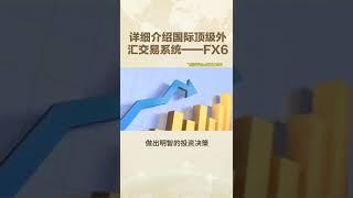 【FX6外汇系统】专业客服团队，提供全天候贴心支持