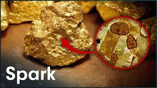 Why Are The Properties Of Gold So Unique?