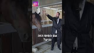 הרב יהושע מרגלית | אם אני לא יעשה צעד אני לא יגיע לשום מקום!