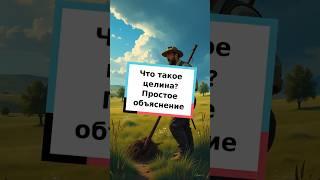 Что такое целина? Простое объяснение #образование #русскийязык #интересное #словарь #экология