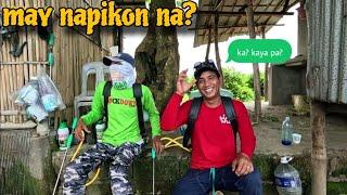 PAGKATAPOS KUMITA SA CALAMANSI: Talo ang Pikon?