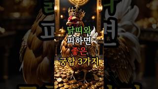 닭띠와 피하면 좋은 궁합 3가지 #닭띠 #닭띠궁합 #닭띠운세