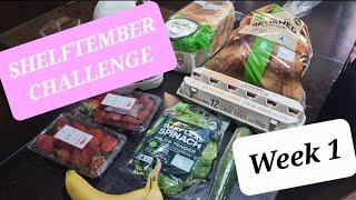 Shelftember Challenge || Week 1